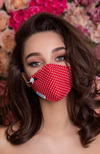 Small Polka Dots Ladies Face Mask Covering - Red/White
